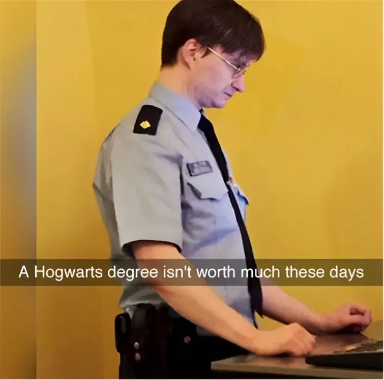 11. Harry Potter, Have You Changed Your Profession?.jpg?format=webp