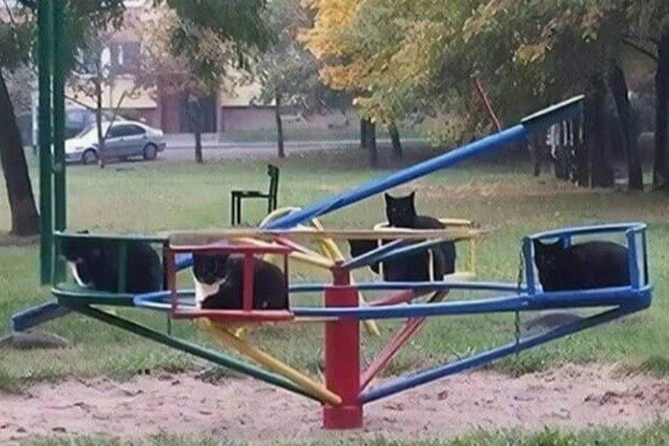 15. Just Your Average Playground.jpg?format=webp