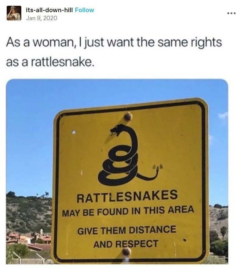 30. Like a Rattlesnake.jpg?format=webp