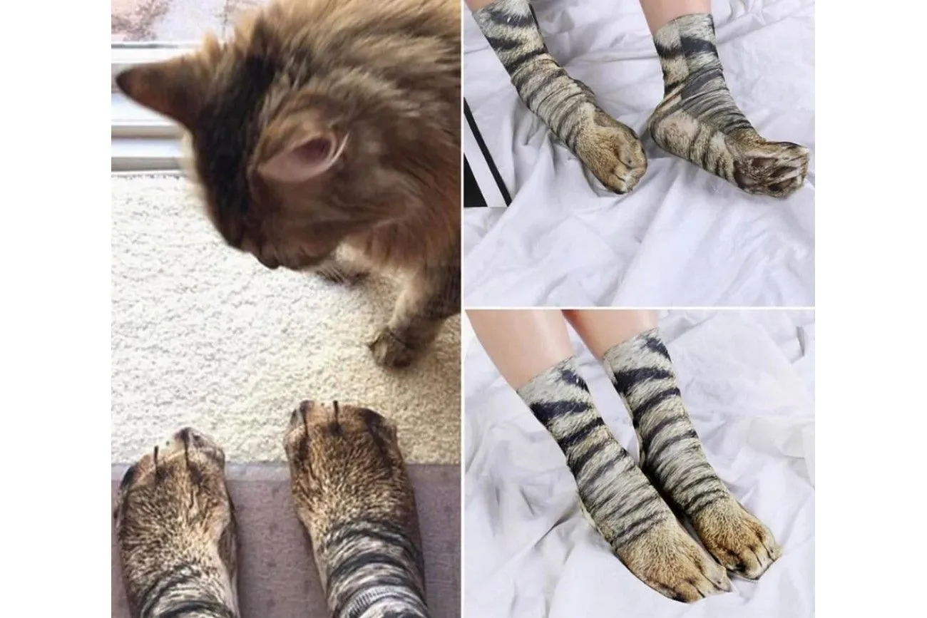 31. Paws for Socks Animals.jpg?format=webp