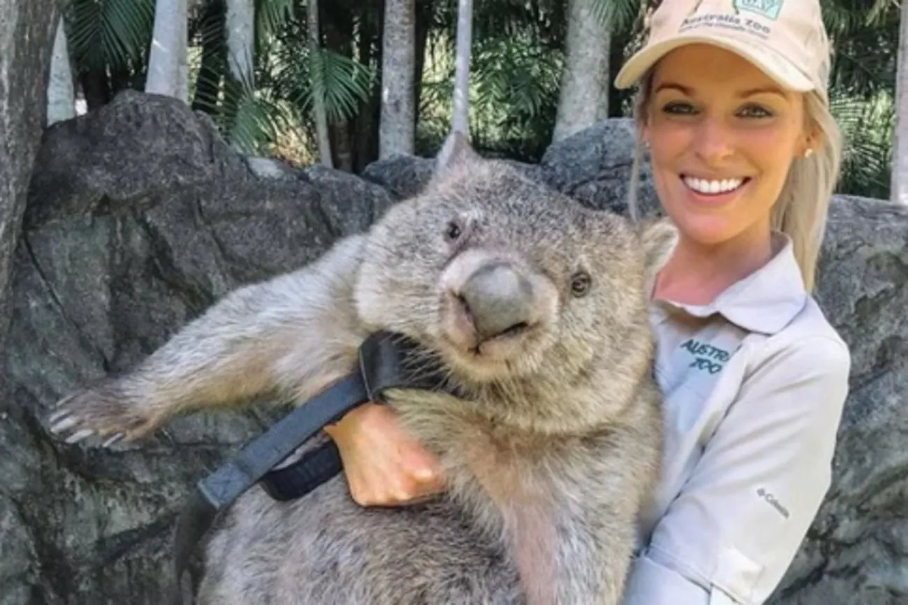 34. The size of a wombat.jpg?format=webp