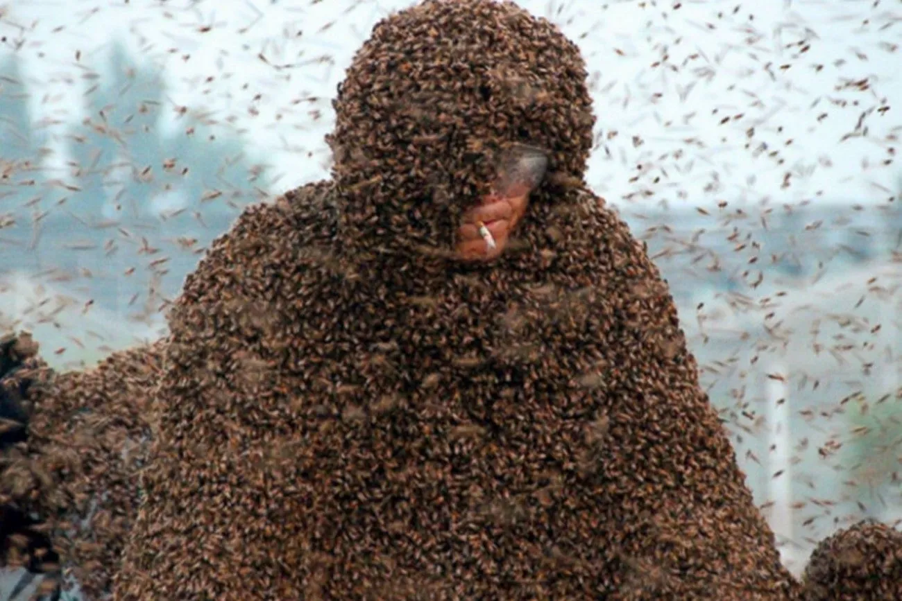 37. Man Covered in Most Bees.jpg?format=webp