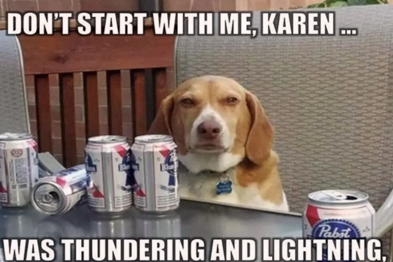 42. No Karen .jpg?format=webp