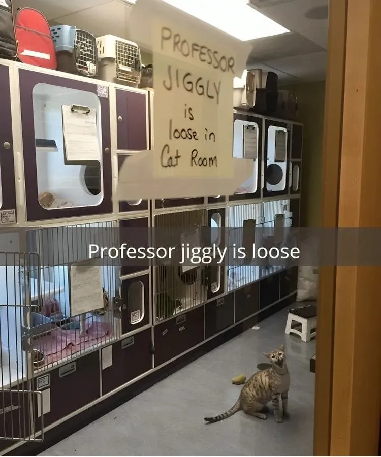 44. Don't Let Professor Jiggly out.jpg?format=webp