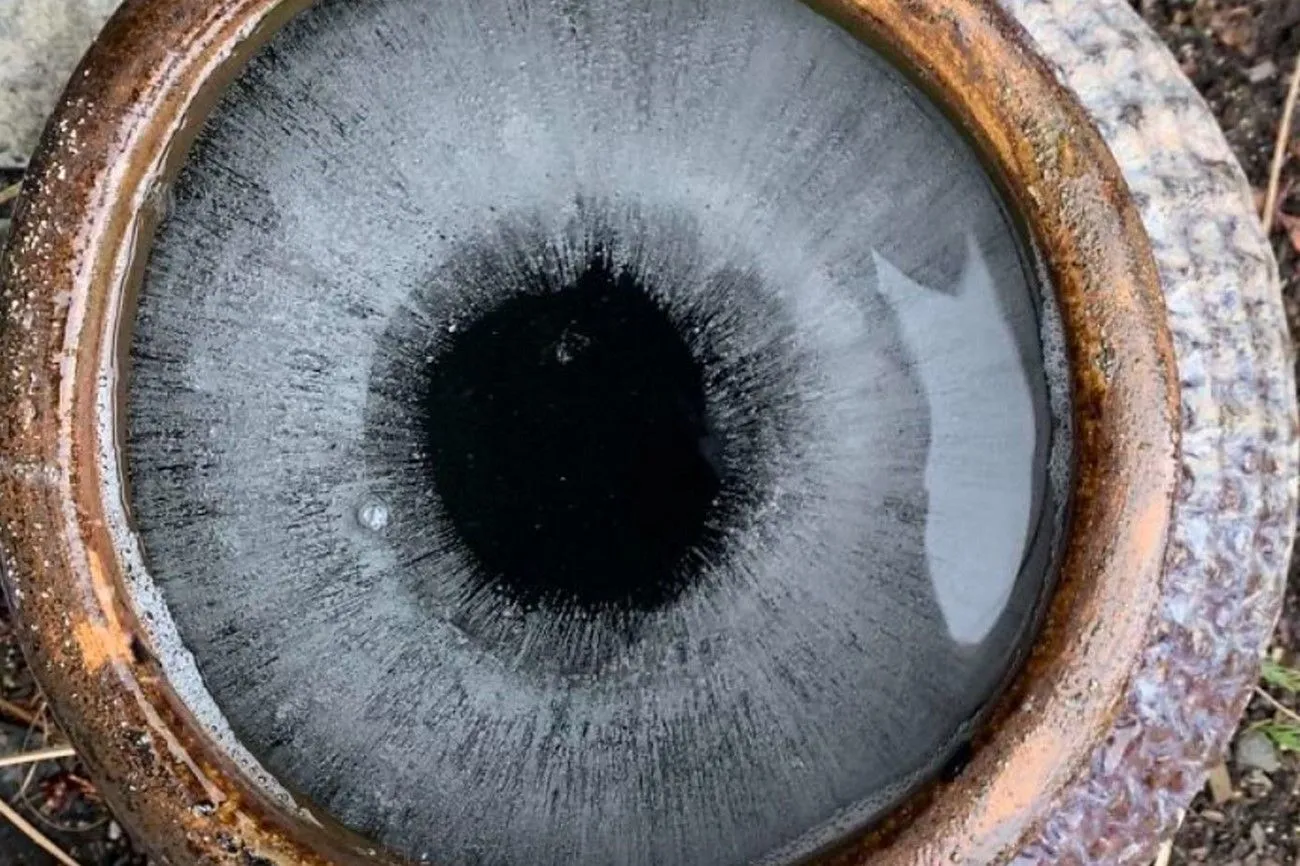 6. The Ice Looks Like An Eye.jpg?format=webp