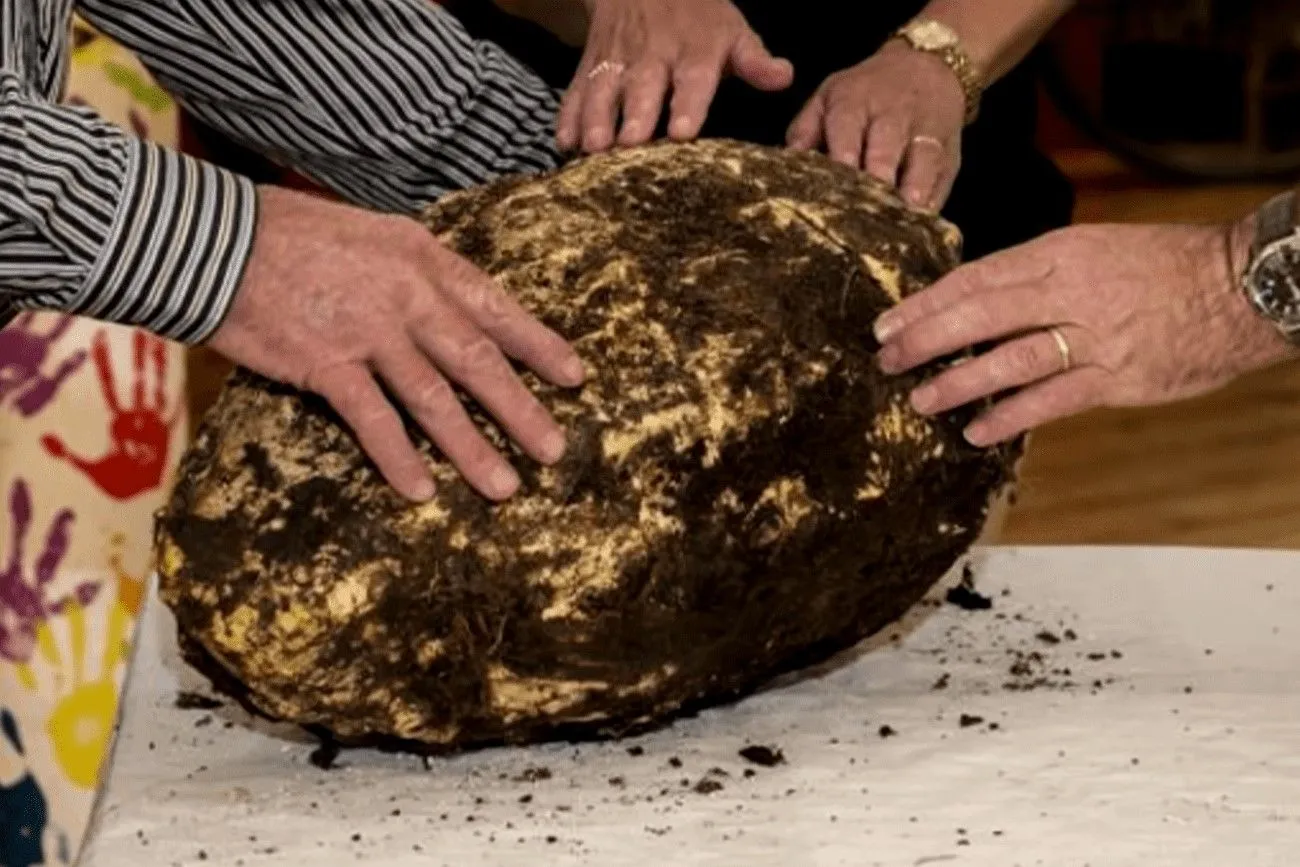 A 22-pound chunk of 2000-year-old butter.jpg?format=webp