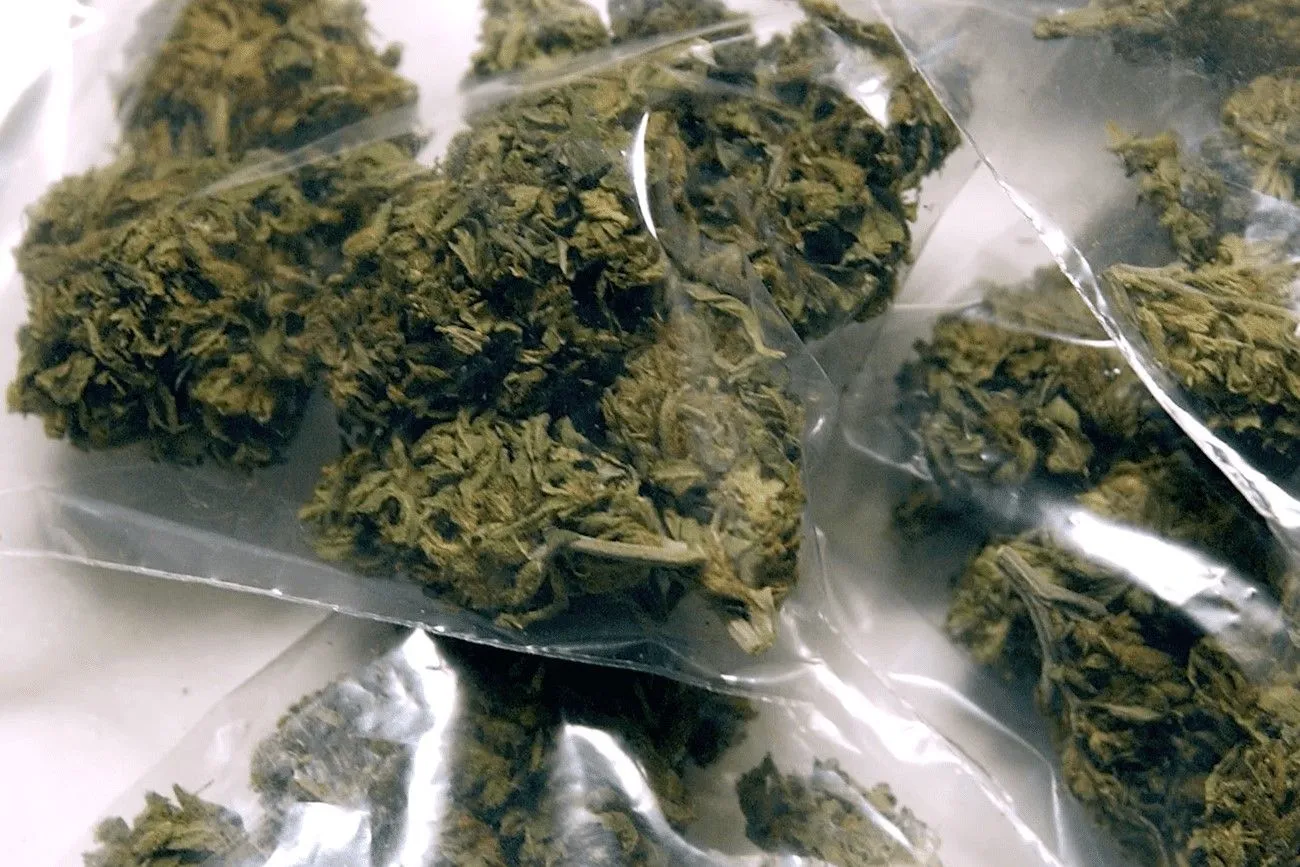 A man found a huge amount of illegal substances in the yard.jpg?format=webp