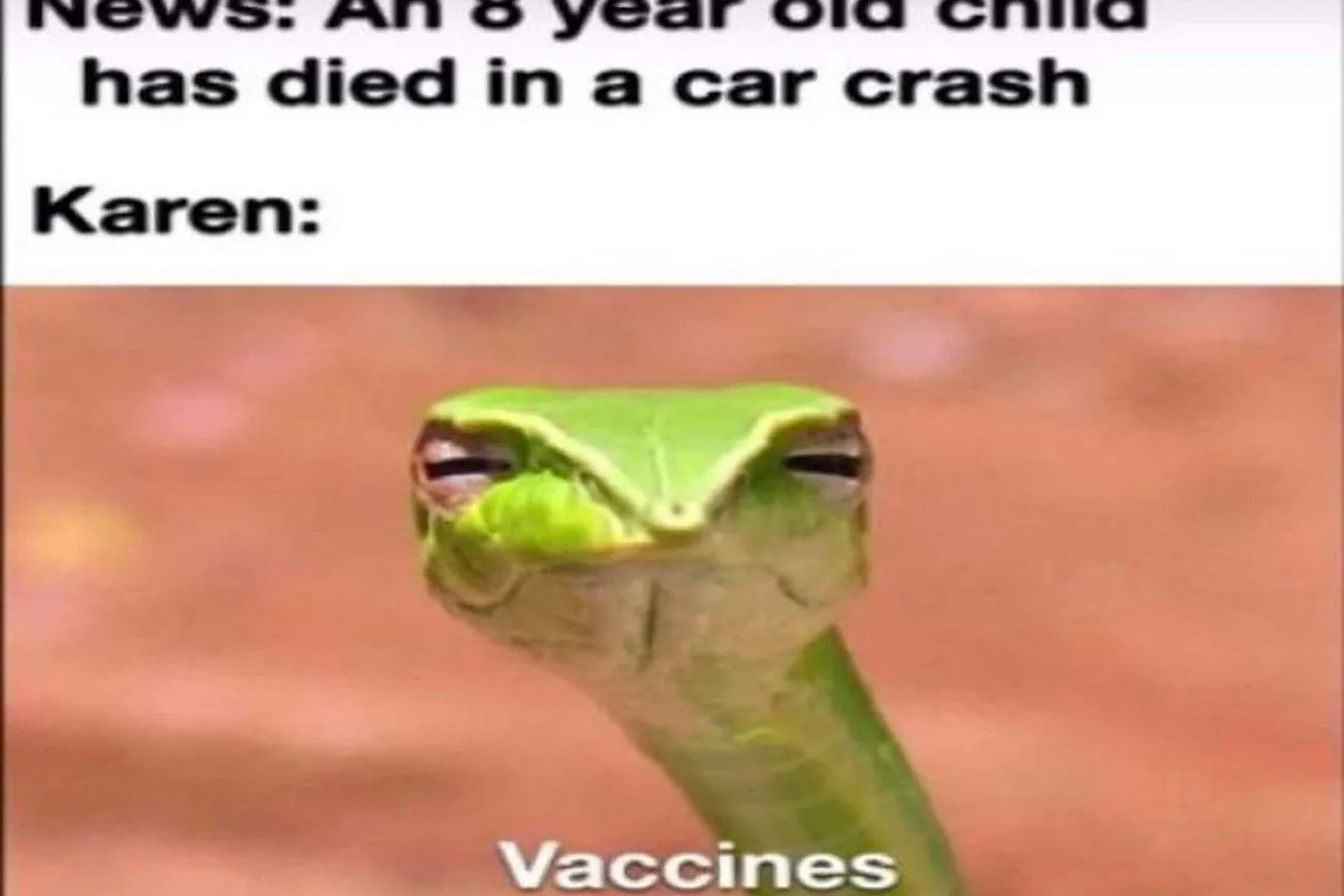 Always focus on the vaccinations.jpg?format=webp