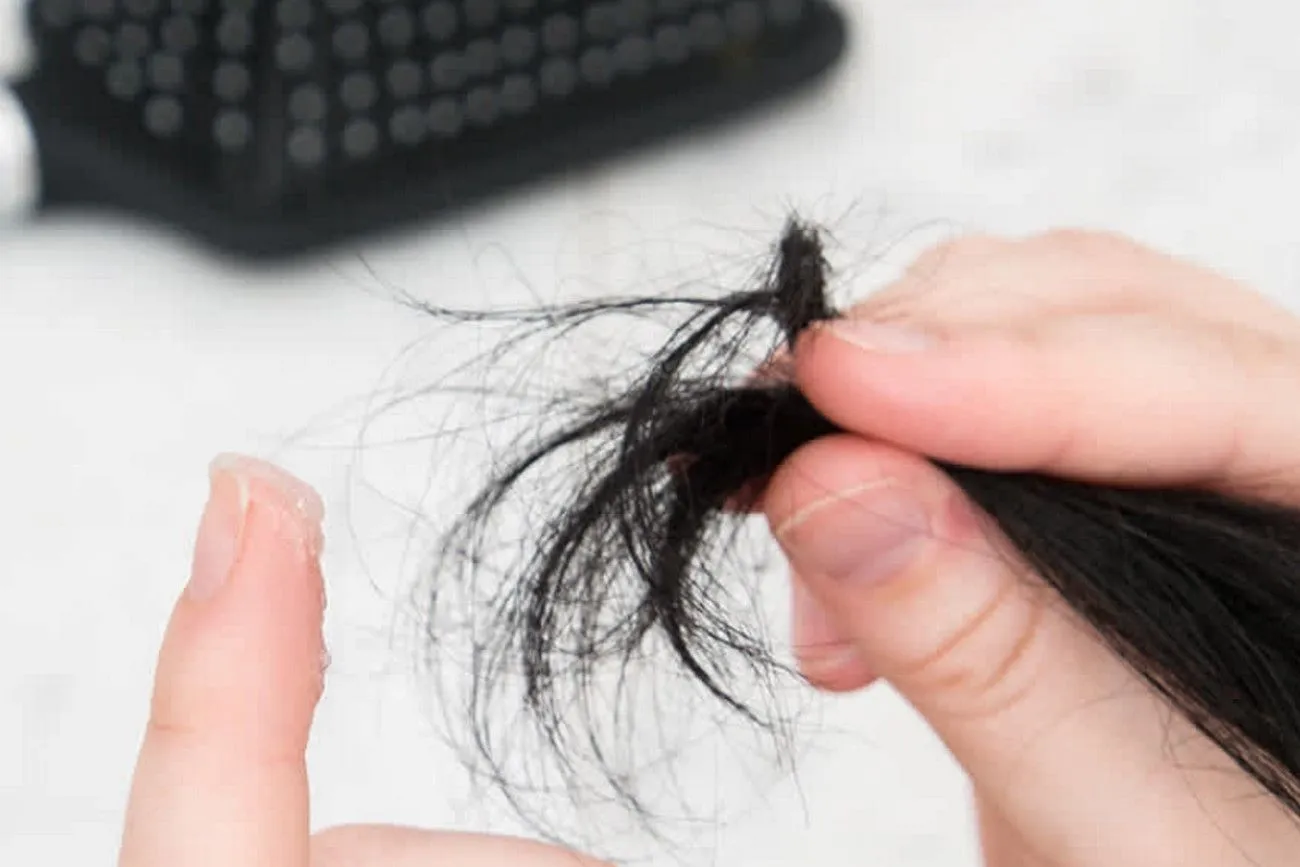 Embrace the Split Ends, Scratch-Free Phone Screens.jpg?format=webp