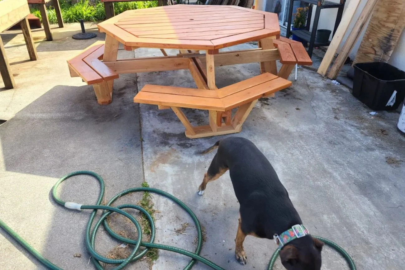 Picnic Table for Everyone.jpg?format=webp