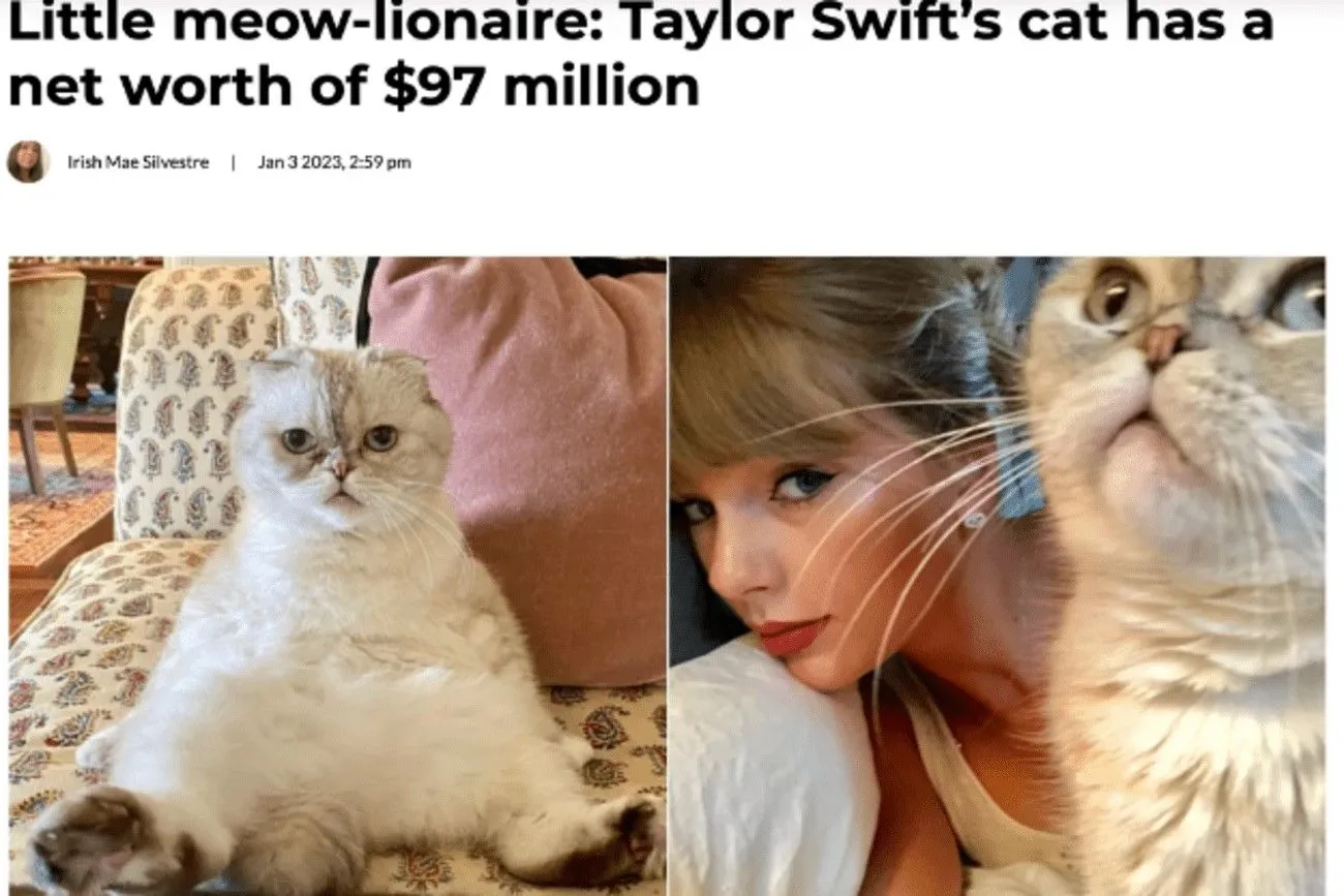 Taylor Swift's cat made $97 million!.jpg?format=webp